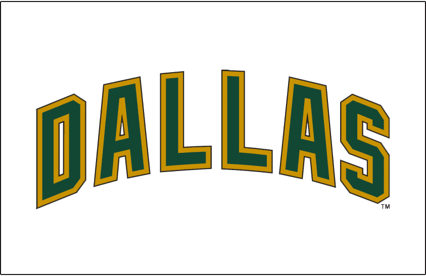 Dallas Stars 2008-2013 Jersey Logo iron on heat transfer